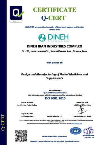 iso 9001