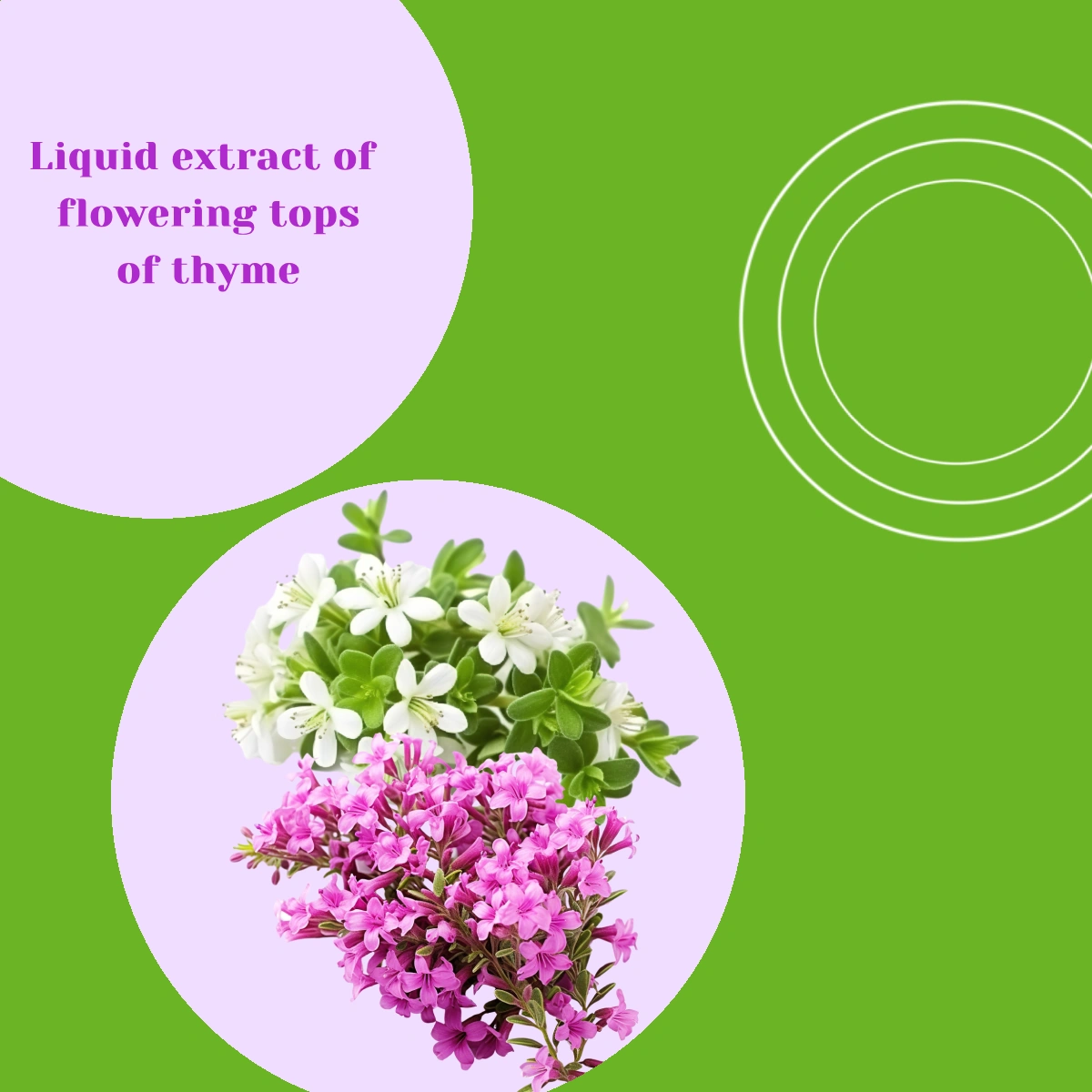 avipect syrup ingredients